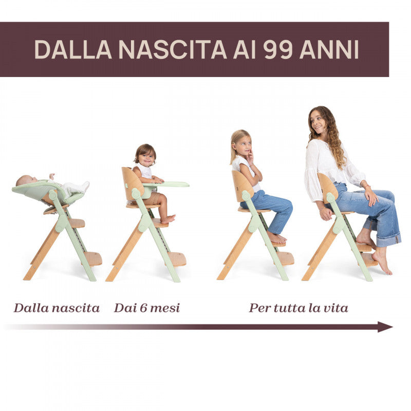 Sedia Evolutiva Chicco Meraviglia Ebony