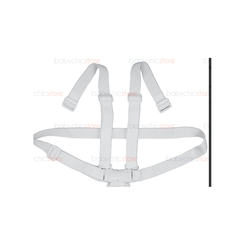 Cinturones Columpio Chicco Polly Swing