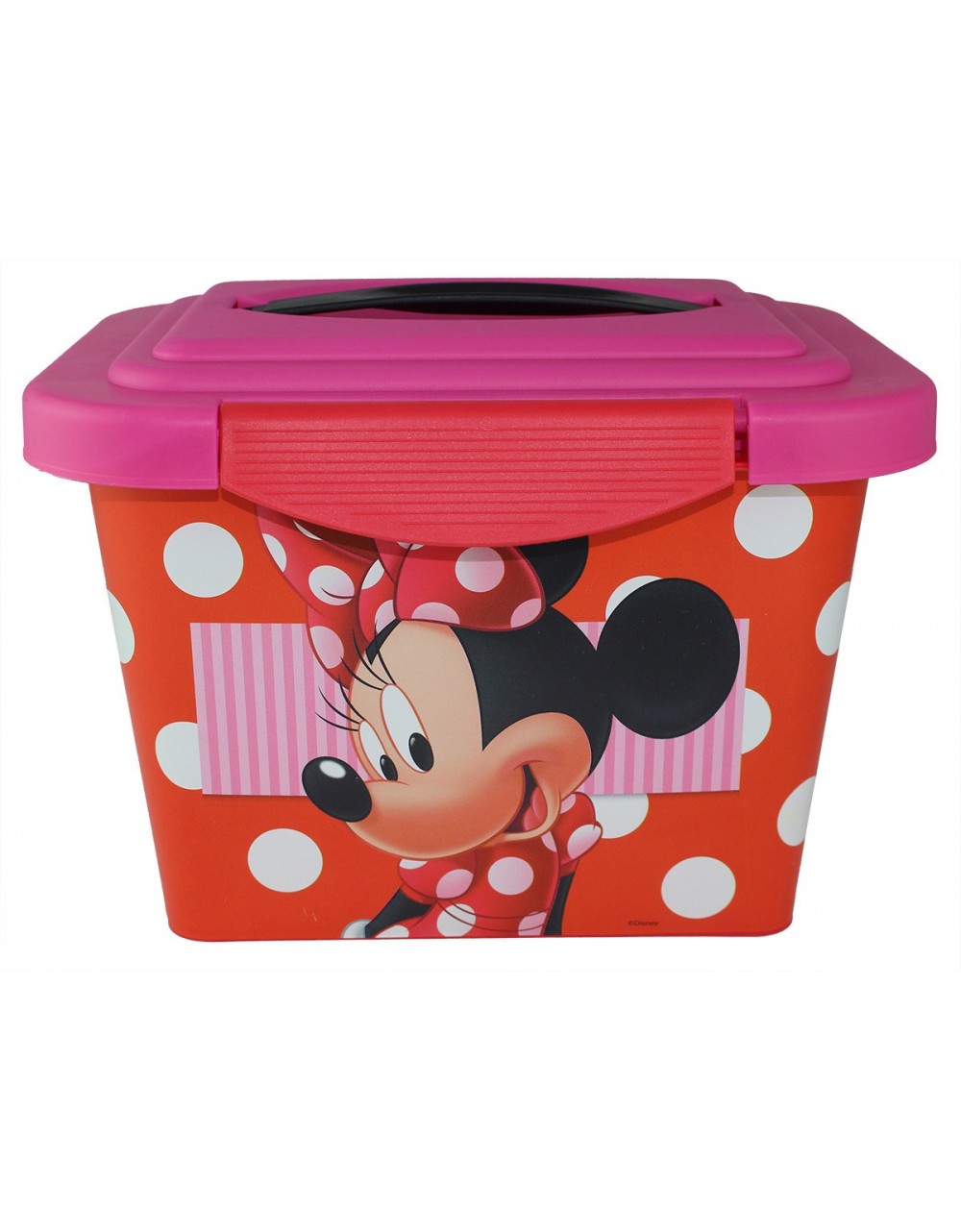 Disney Minnie Snack Box