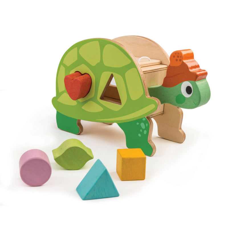 Wooden Turtle Shape Sorter