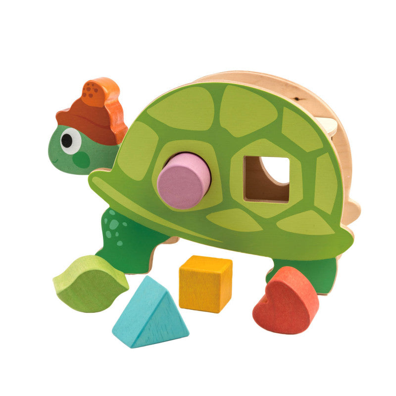 Wooden Turtle Shape Sorter