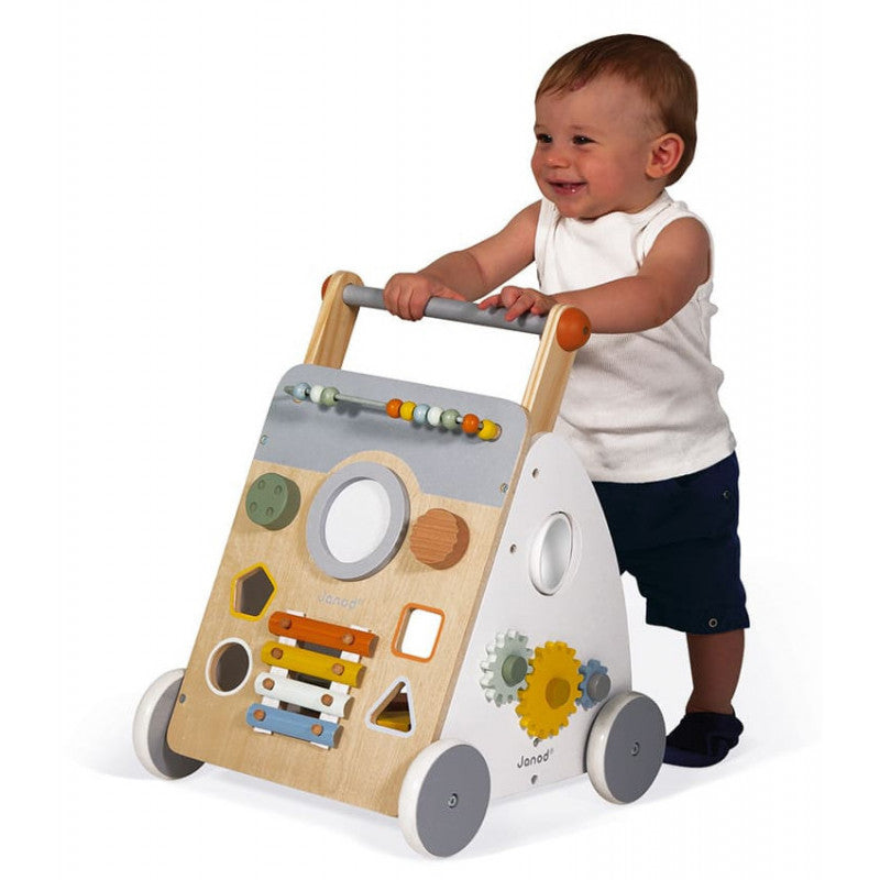 Sweet Cocoon Multi-Activity Walker