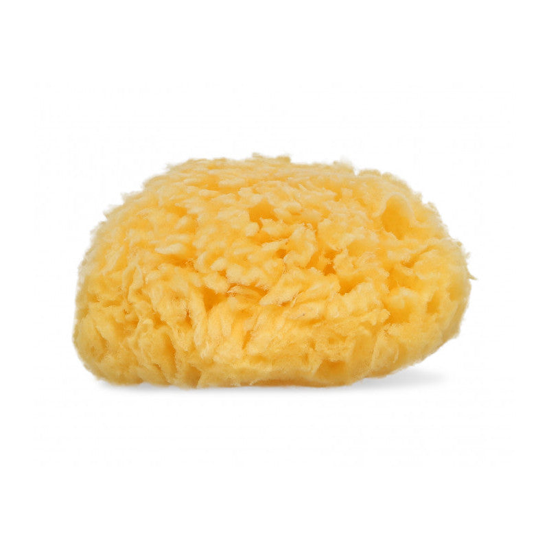 Naturbadeschwamm